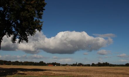 Drenthe, het land van Bartje en de blues