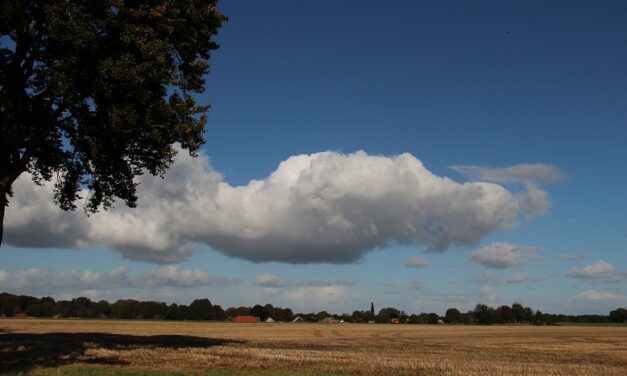 Drenthe, het land van Bartje en de blues