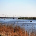 Tijdens fietsrondje Gooimeer zie je veel meer dan water!