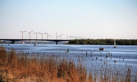 Tijdens fietsrondje Gooimeer zie je veel meer dan water!