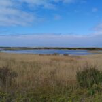 Vlieland in 7 tips voor een geslaagd bezoek