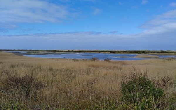 Vlieland in 7 tips voor een geslaagd bezoek