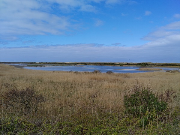 Vlieland in 7 tips voor een geslaagd bezoek