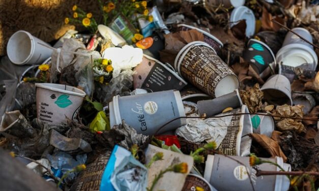 Week zonder afval: roeien tegen stroom plastic in
