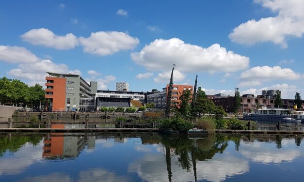 Drijvende tuinen: herontdekte groene juweeltjes in de stad