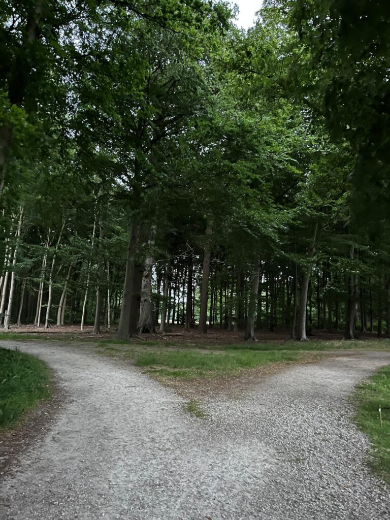 midzomernachtloop wandelen in het donker