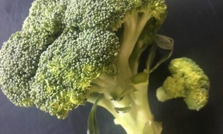 Stronk van broccoli heerlijk in de soep
