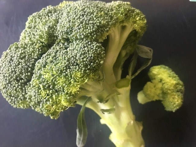 Stronk van broccoli heerlijk in de soep