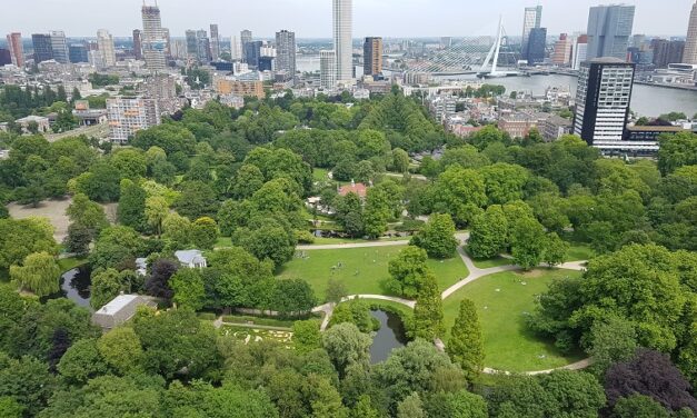 Rotterdam: van hoogtepunt naar hoogtepunt