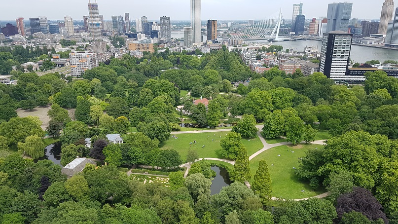 Rotterdam: van hoogtepunt naar hoogtepunt