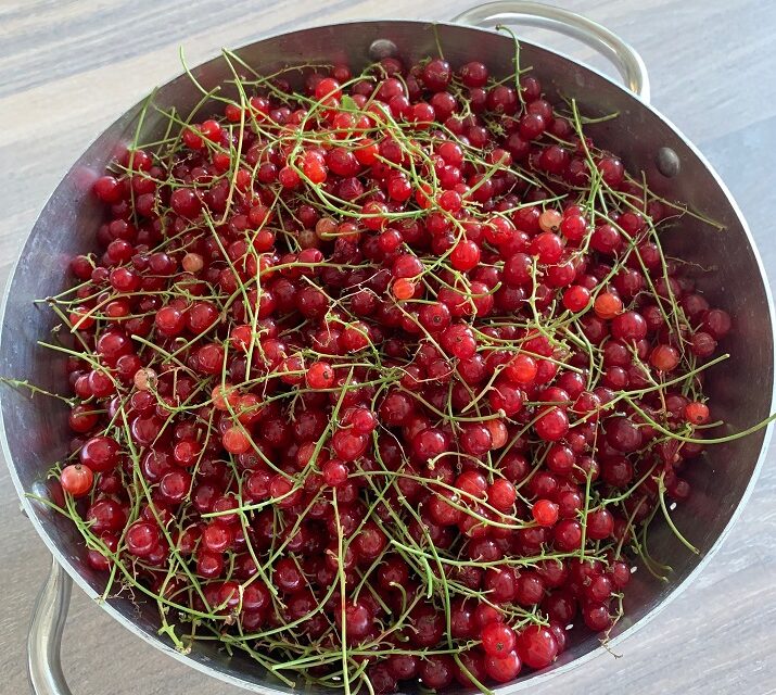 Zomertijd+zomerfruit = zomerjam van aalbessen maken