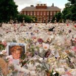The Princess: hoe sprookje een nachtmerrie werd