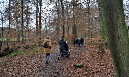 <strong>Ontmoet de midwinterhoornblazers tijdens het wandelen</strong>