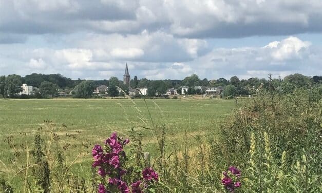 Hollandse zomer: zonnebrand én regenjas