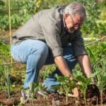 Siertuin, kruidentuin, moestuin!