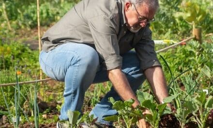 Siertuin, kruidentuin, moestuin!