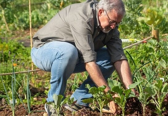 Siertuin, kruidentuin, moestuin!