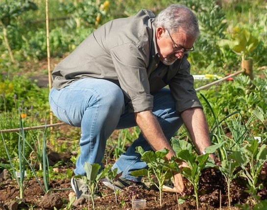 Siertuin, kruidentuin, moestuin!