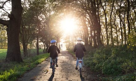 Maak dragen fietshelm verplicht