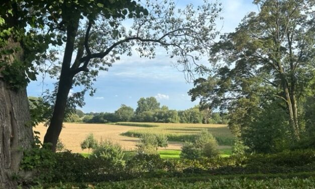 Münsterland: uit en toch thuis