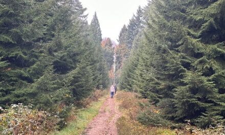 Kaapse Bossen mèt hoogtepunten