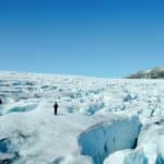 Songs of Earth: genieten van natuur vergt geduld