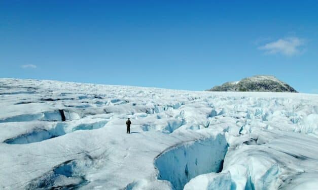 Songs of Earth: genieten van natuur vergt geduld