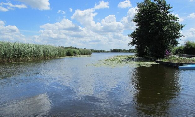 Nieuwkoopse Plassen: ontdek schilderachtige plekjes